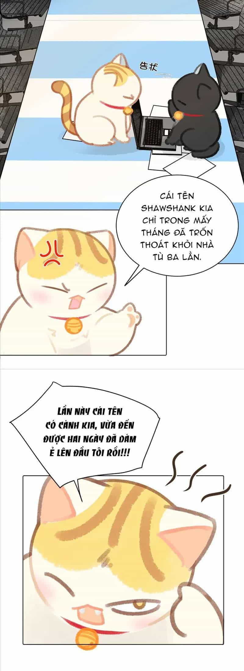 Lục Lạc Mèo - Chương 24 - ảnh 7
