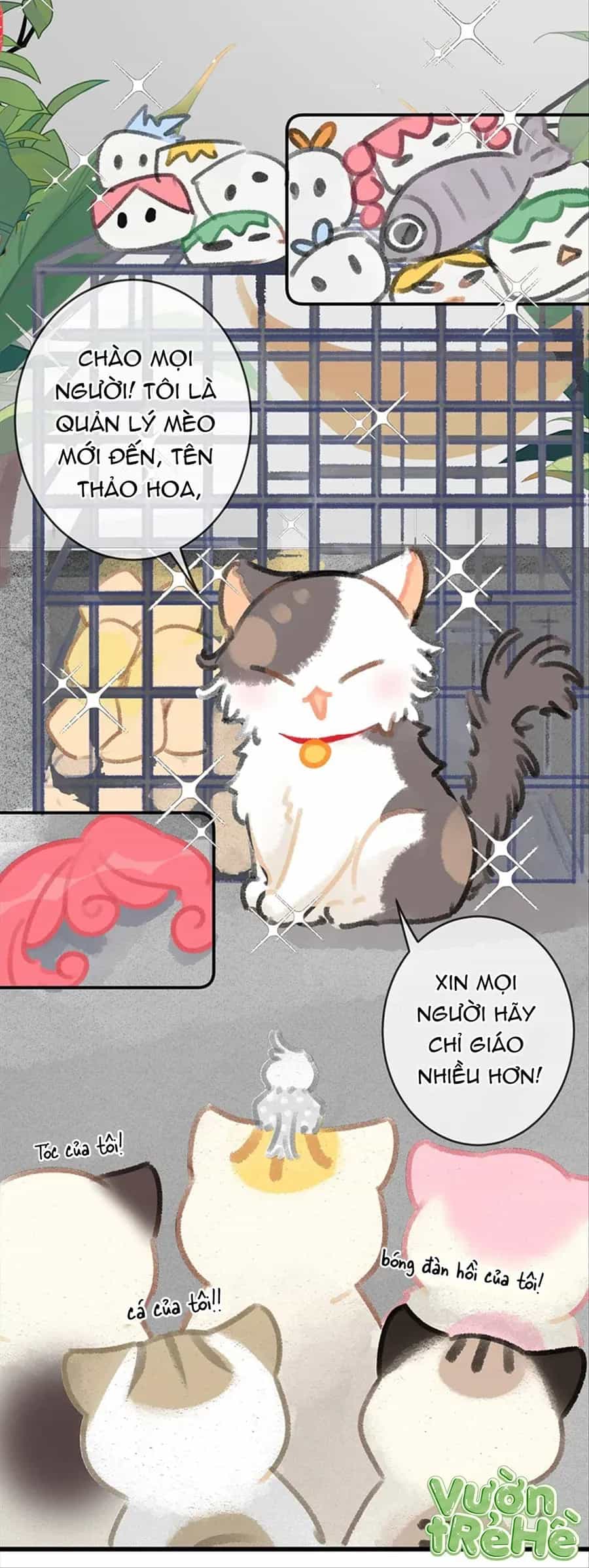 Lục Lạc Mèo - Chương 28 - ảnh 11