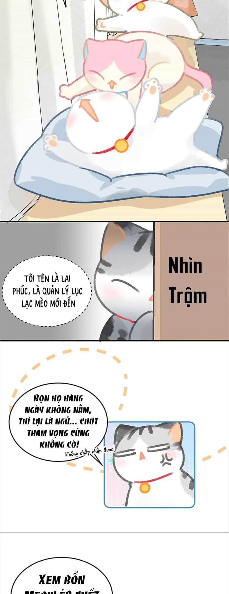 Lục Lạc Mèo - Chương 29 - ảnh 3