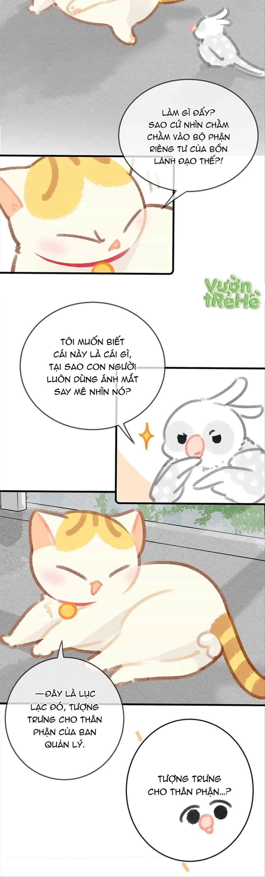 Lục Lạc Mèo - Chương 30 - ảnh 4