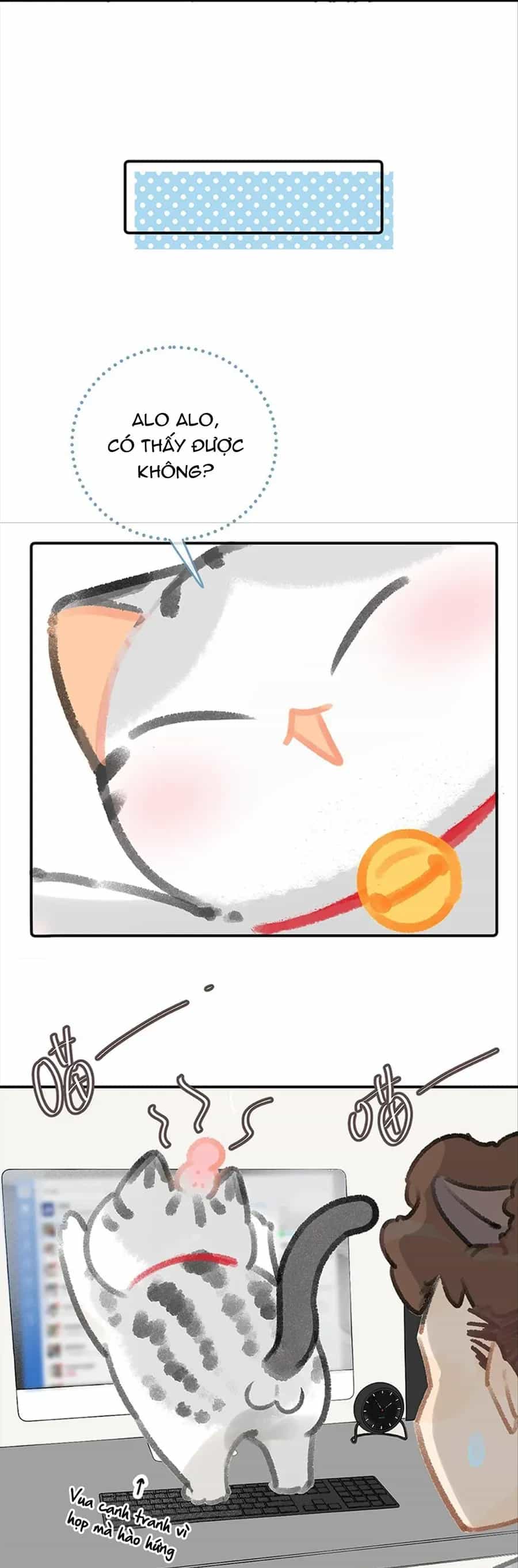Lục Lạc Mèo - Chương 34 - ảnh 6