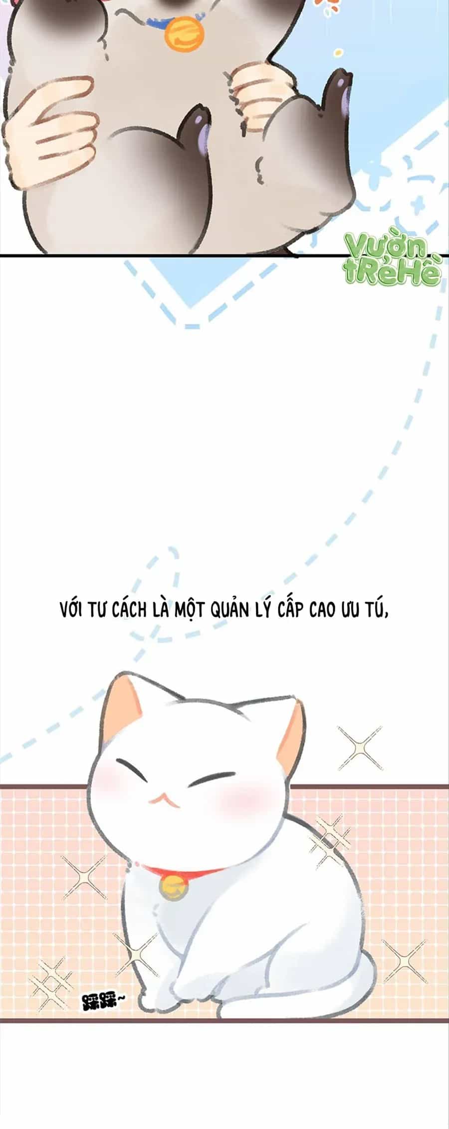 Lục Lạc Mèo - Chương 37 - ảnh 5