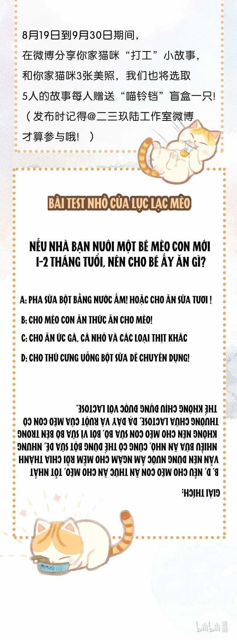 Lục Lạc Mèo - Chương 3 - ảnh 10