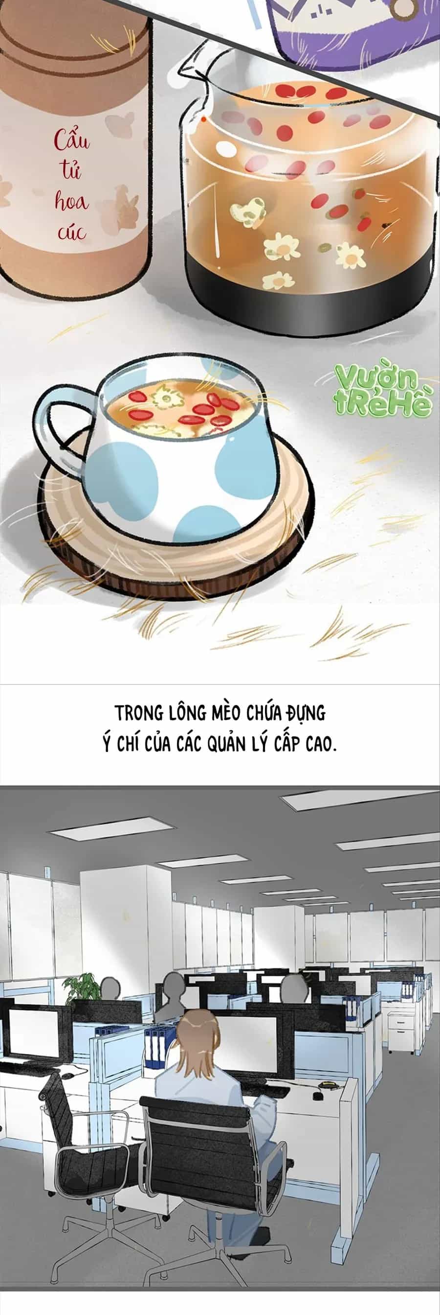 Lục Lạc Mèo - Chương 38 - ảnh 6