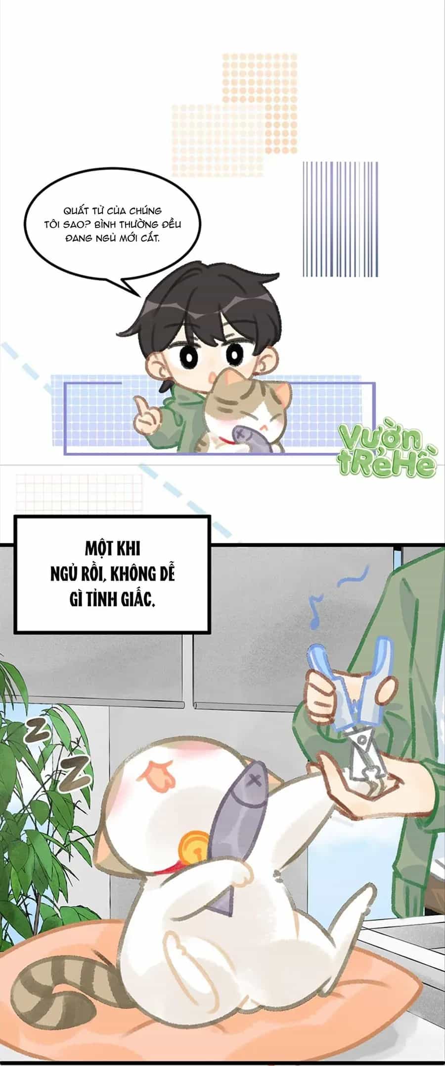 Lục Lạc Mèo - Chương 39 - ảnh 9