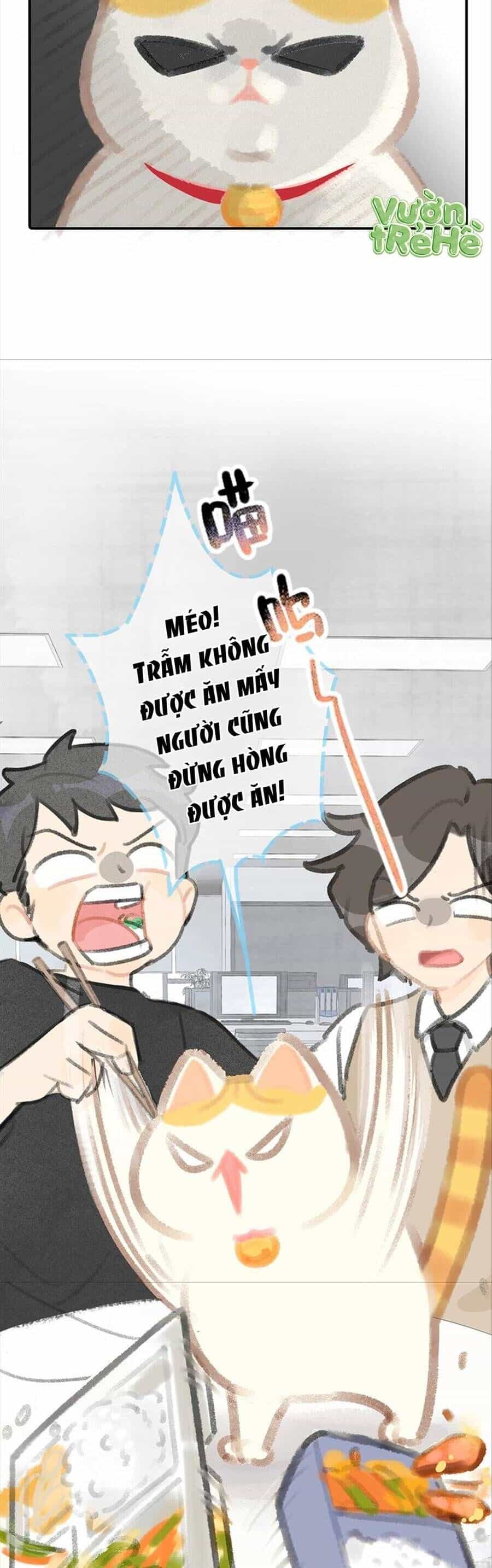 Lục Lạc Mèo - Chương 7 - ảnh 12