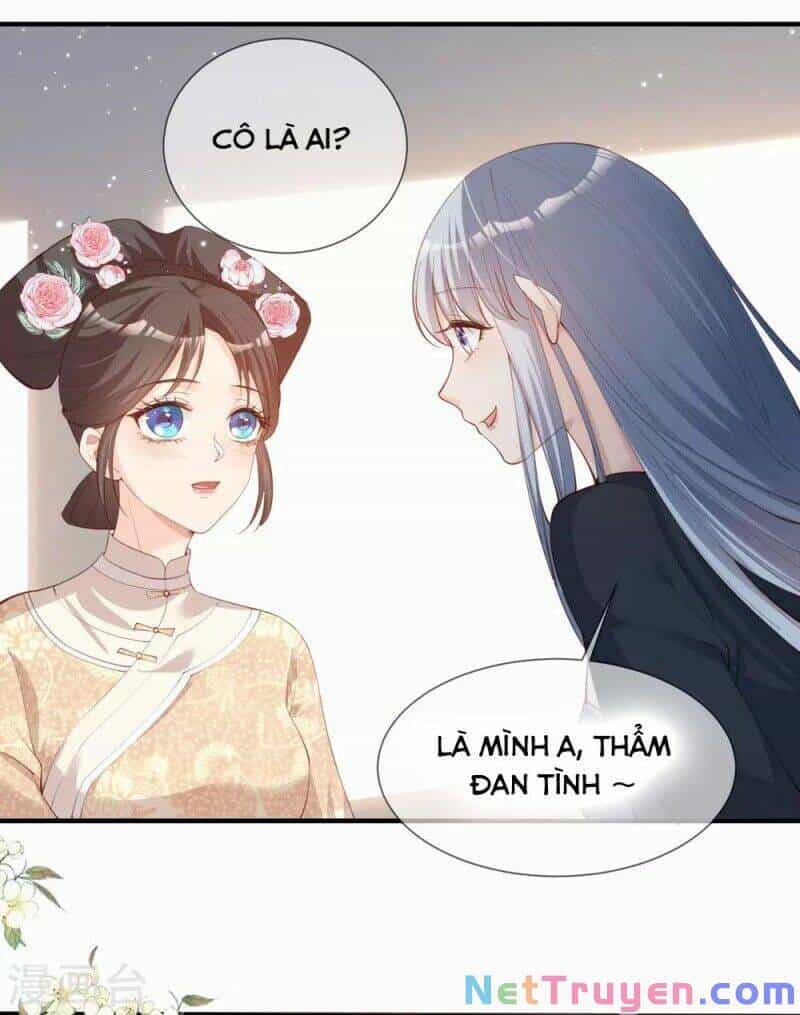 Lục Tổng, Vợ Ngài Lại Lên Top Tìm Kiếm Nữa Rồi! - Chương 16 - ảnh 14