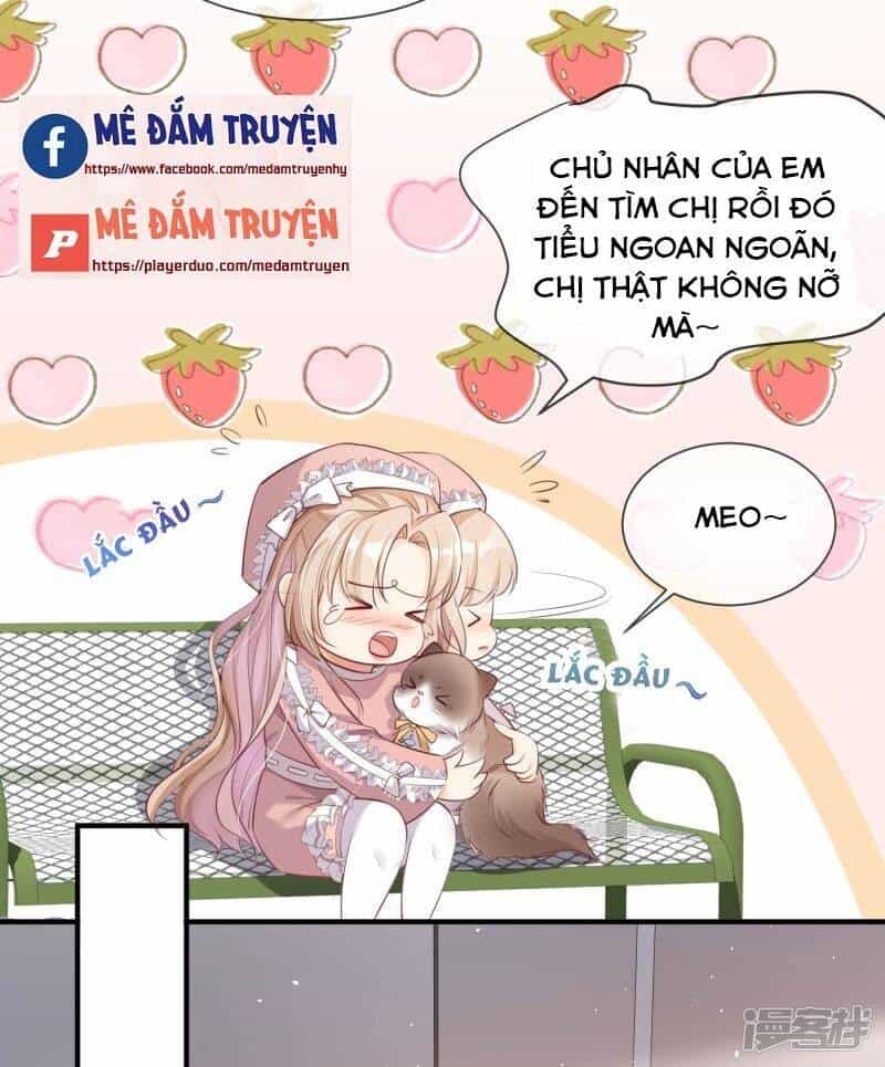 Lục Tổng, Vợ Ngài Lại Lên Top Tìm Kiếm Nữa Rồi! - Chương 3 - ảnh 33