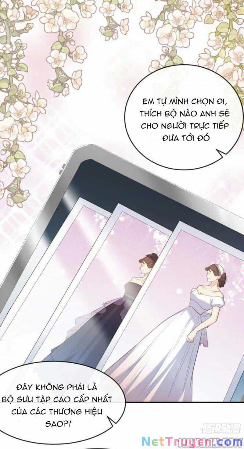 Lục Tổng, Vợ Ngài Lại Lên Top Tìm Kiếm Nữa Rồi! - Chương 32 - ảnh 26