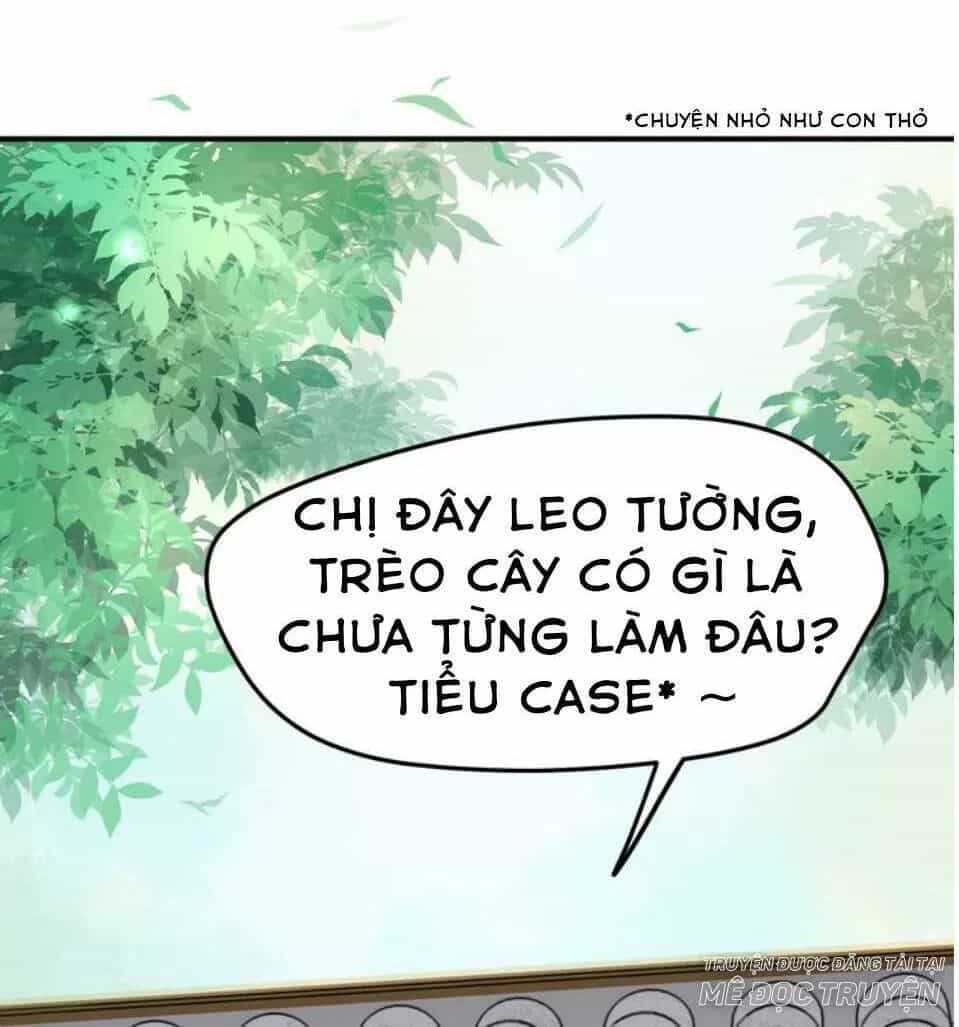 Luôn Có Điêu Dân To Gan Muốn Hại Trẫm - Chương 14 - ảnh 42