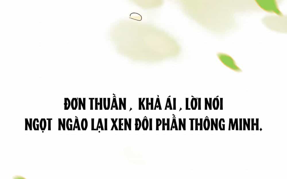 Lưu Hoa Bất Cập Xuân - Chương 0 - ảnh 5