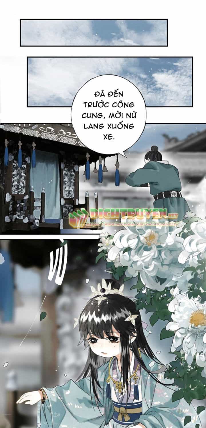 Lưu Hoa Bất Cập Xuân - Chương 8 - ảnh 23