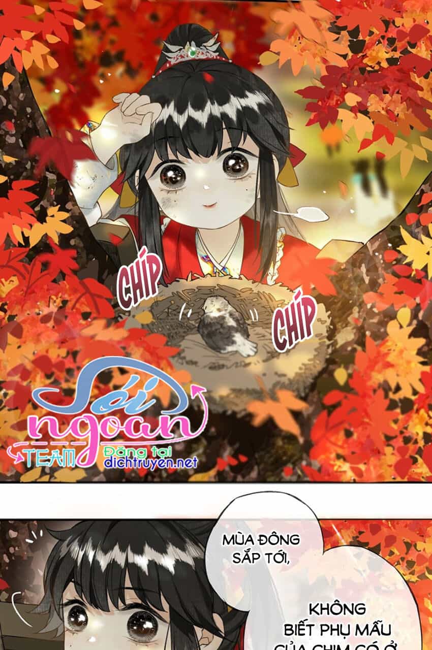 Lưu Hoa Bất Cập Xuân - Chương 22 - ảnh 7