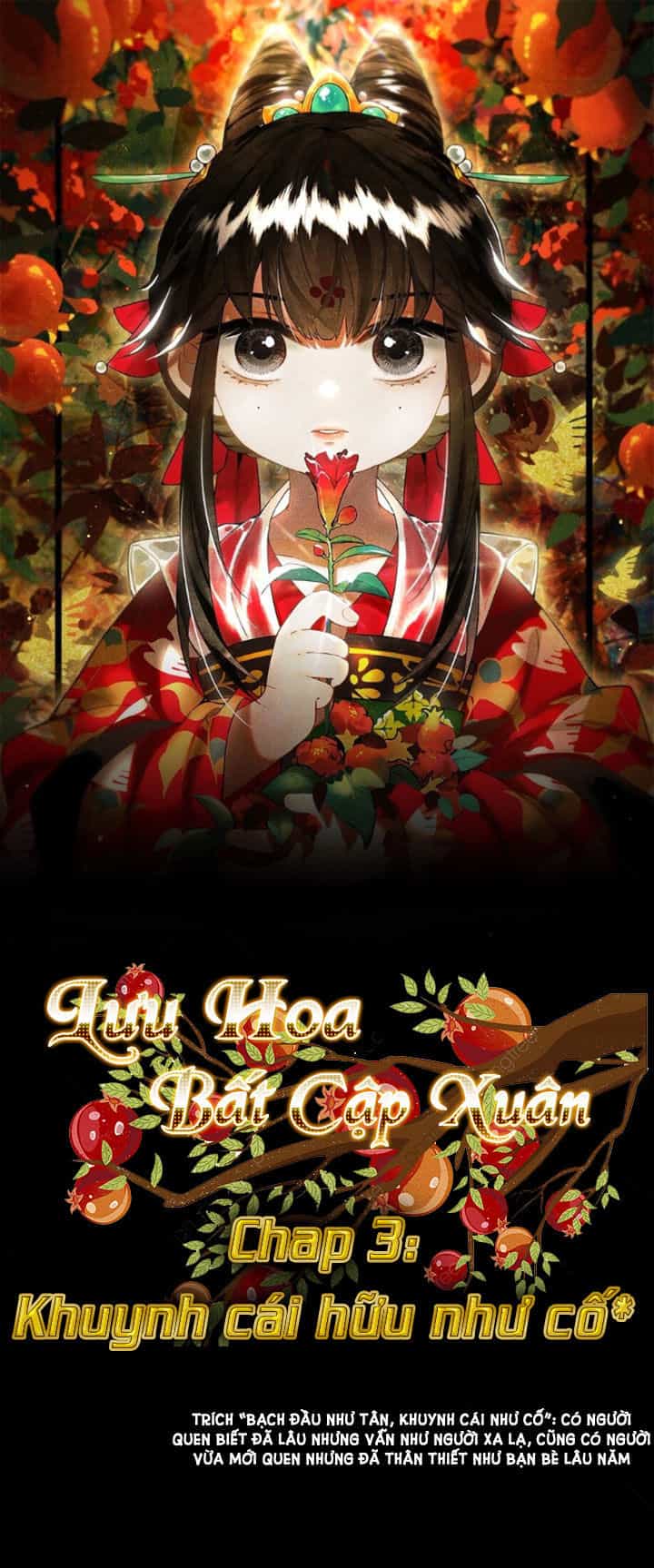 Lưu Hoa Bất Cập Xuân - Chương 3 - ảnh 1