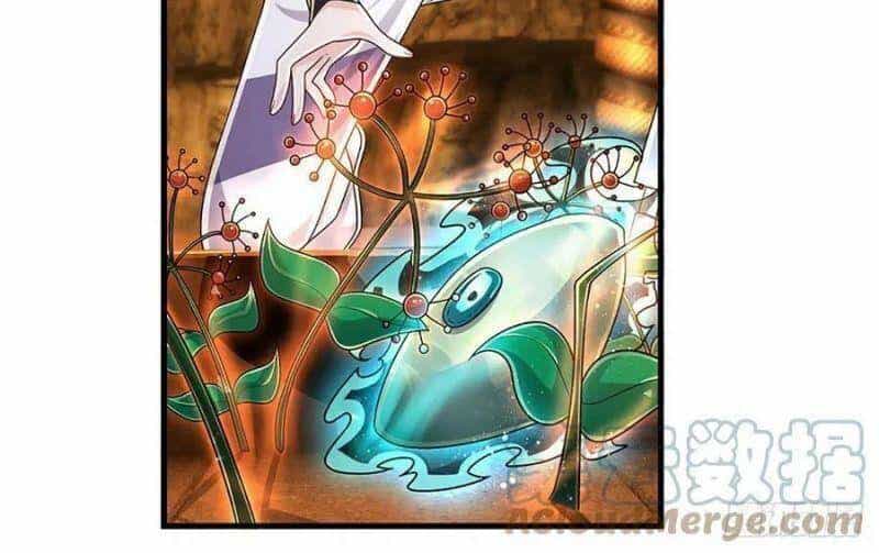 Luyện Thể Trăm Nghìn Tầng - Chương 165 - ảnh 4