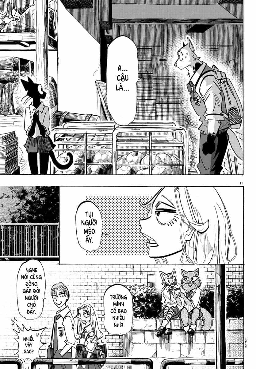 Lý Trí Của Taika - Chương 10 - ảnh 11