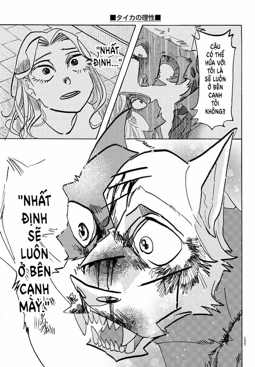 Lý Trí Của Taika - Chương 17 - ảnh 12