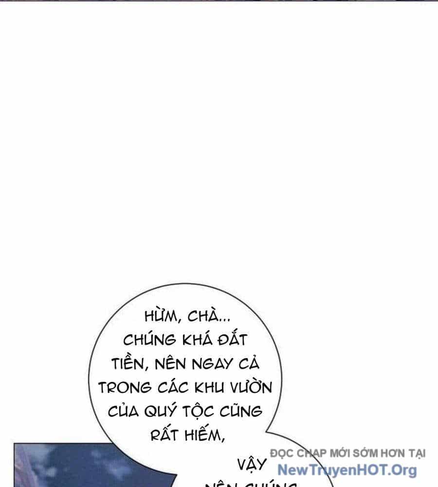 Ma Pháp Quân Chủ - Chương 18 - ảnh 54