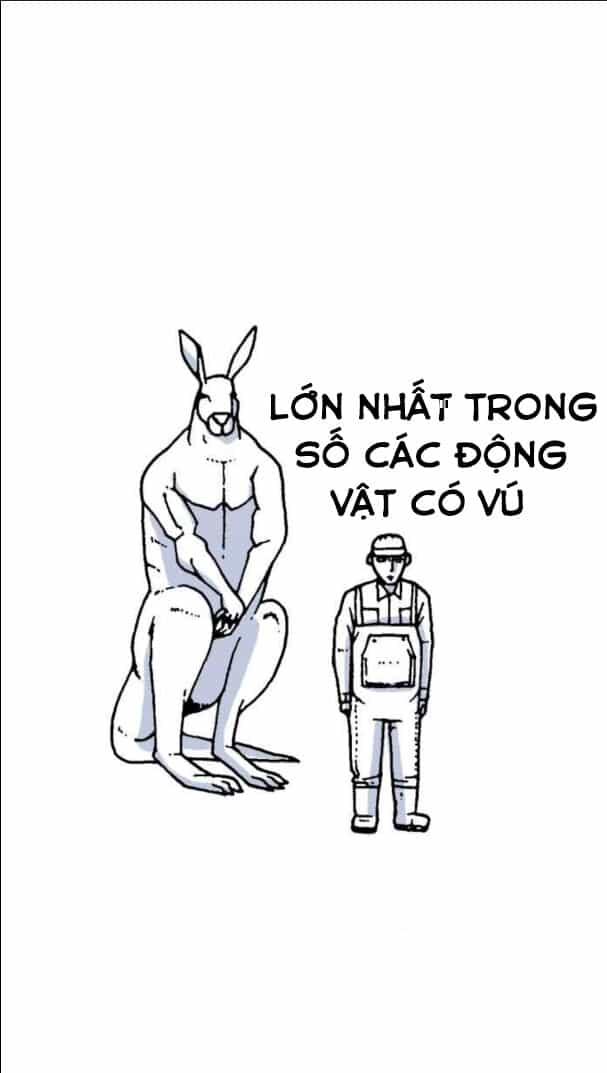 Mắc Kẹt Trên Mặt Trăng - Chương 10 - ảnh 3