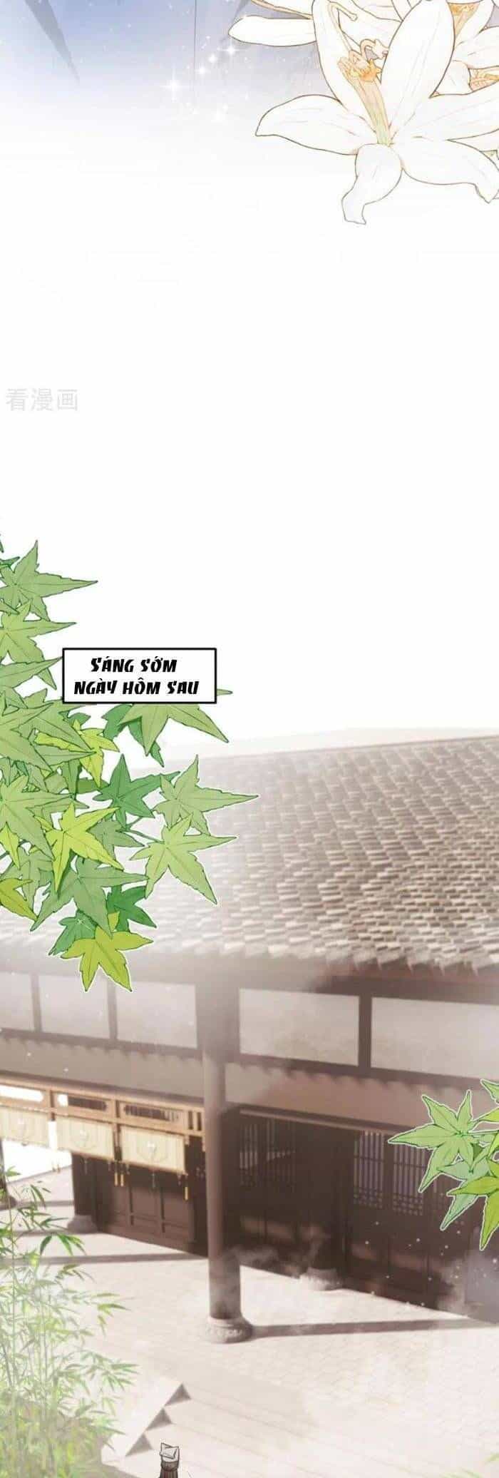 Mang Cả Siêu Thị Xuyên Không Về Nuôi Thừa Tướng - Chương 52 - ảnh 24