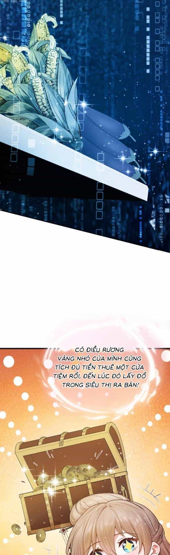 Mang Cả Siêu Thị Xuyên Không Về Nuôi Thừa Tướng - Chương 53 - ảnh 17