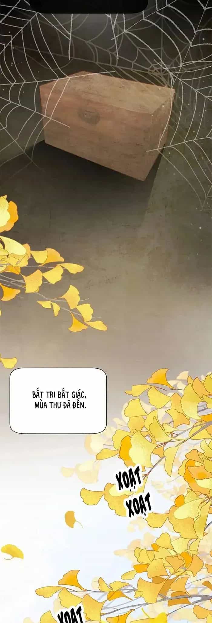 Mang Cả Siêu Thị Xuyên Không Về Nuôi Thừa Tướng - Chương 64 - ảnh 14