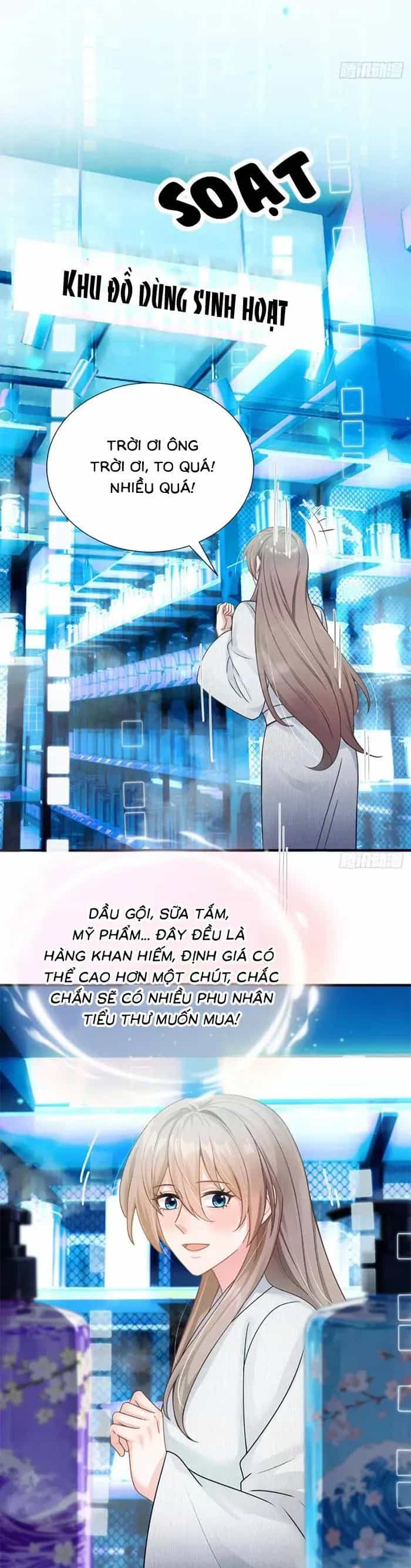 Mang Cả Siêu Thị Xuyên Không Về Nuôi Thừa Tướng - Chương 68 - ảnh 23