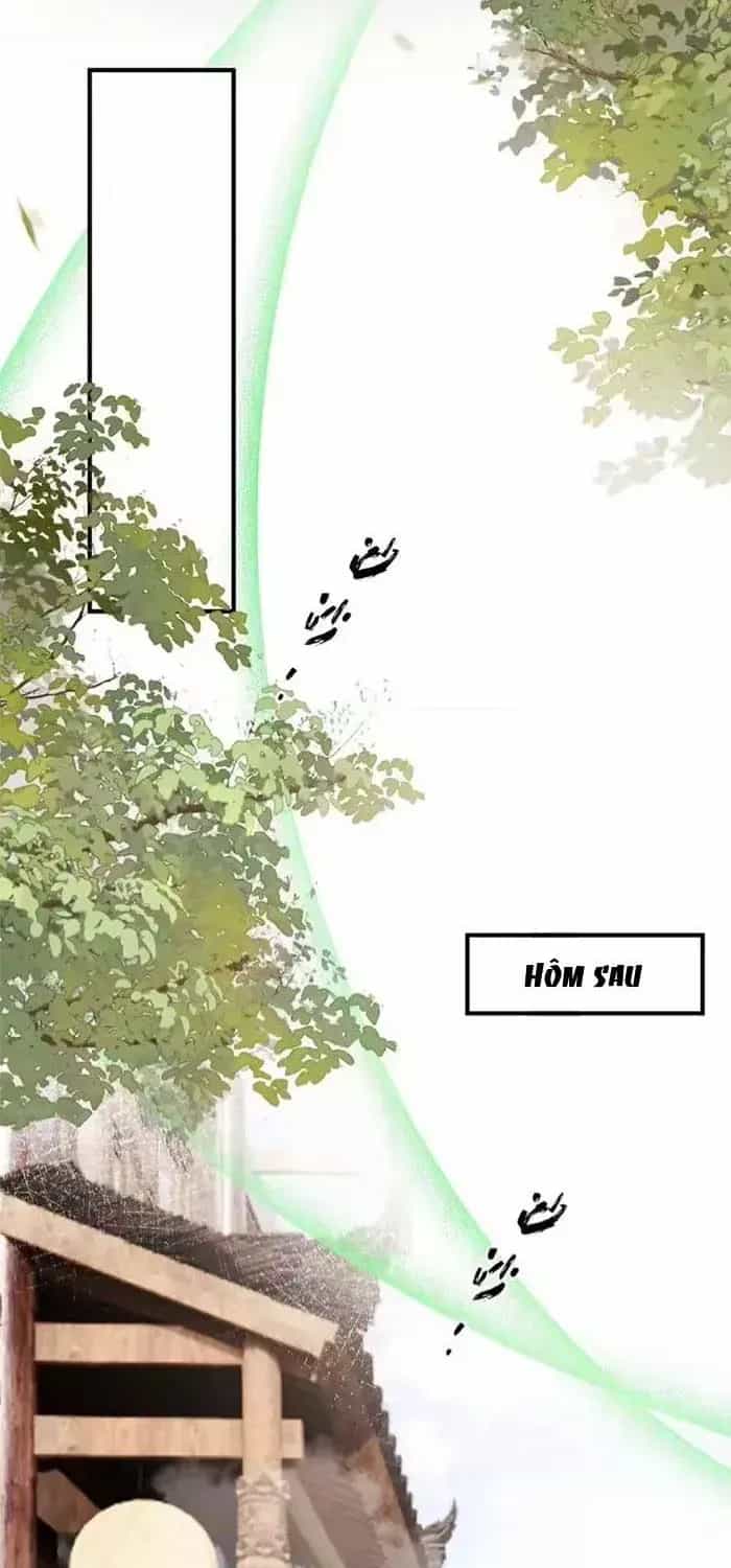 Mang Cả Siêu Thị Xuyên Không Về Nuôi Thừa Tướng - Chương 79 - ảnh 32