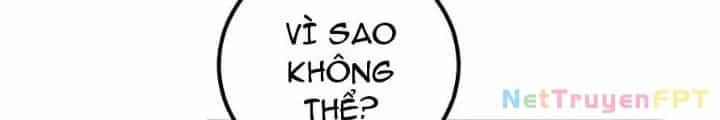 Mang Theo Các Tiên Tử Vô Địch Thiên Hạ - Chương 53 - ảnh 12