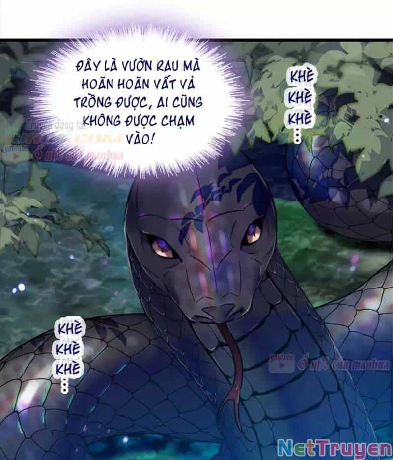 Manh Động Thú Thế - Chương 80 - ảnh 46