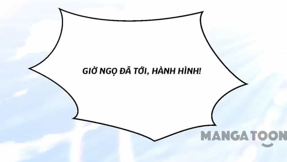 Manh Hổ Trọng Sinh : Tướng Quân Đại Nhân Muốn Ôm Ôm - Chương 157 - ảnh 24