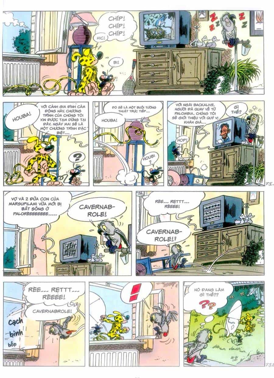 Marsupilami - Chương 10 - ảnh 36