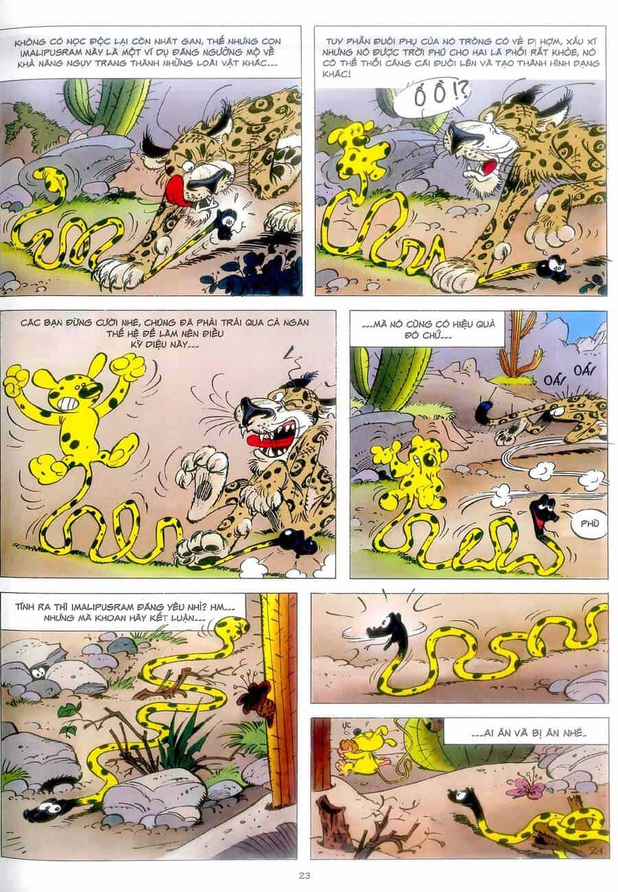 Marsupilami - Chương 4 - ảnh 22