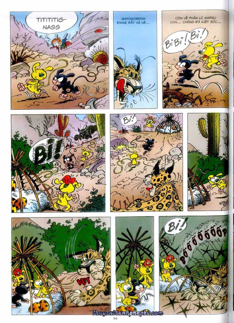 Marsupilami - Chương 4 - ảnh 35