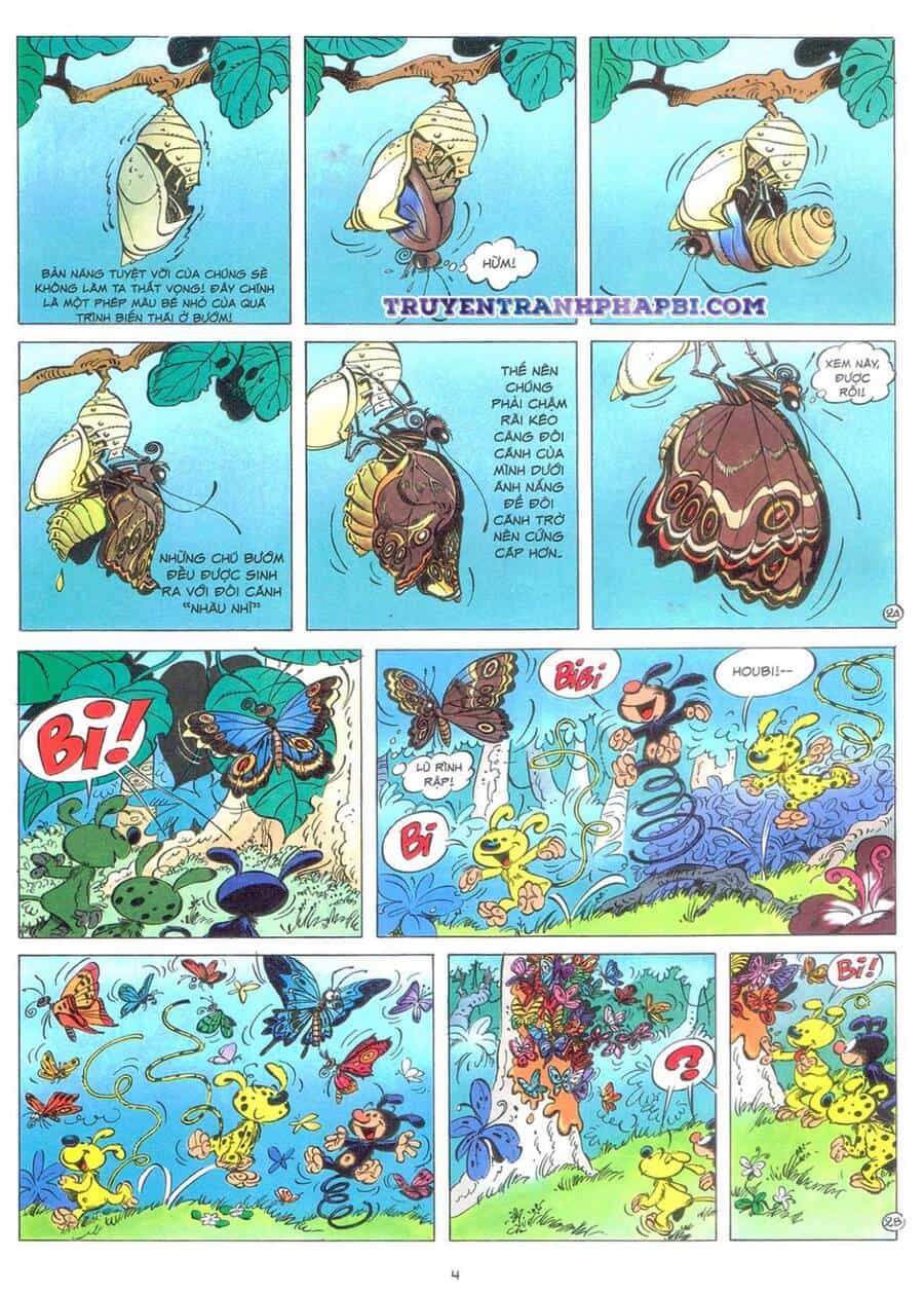Marsupilami - Chương 9 - ảnh 3