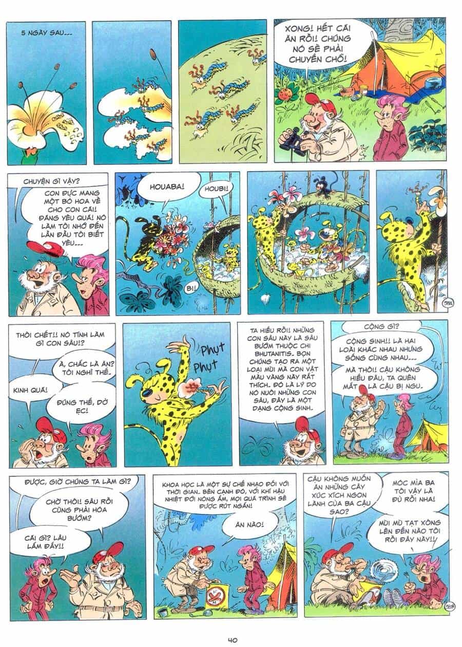 Marsupilami - Chương 9 - ảnh 39