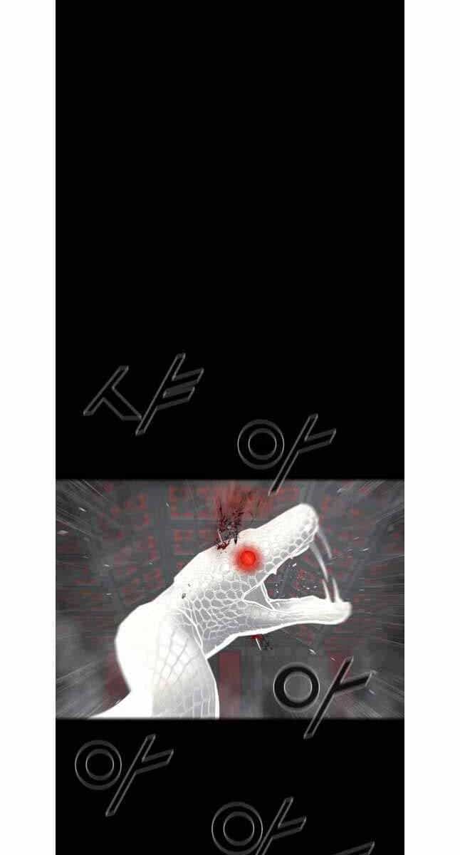 Mật Mã Mê Cung - Chương 111 - ảnh 29