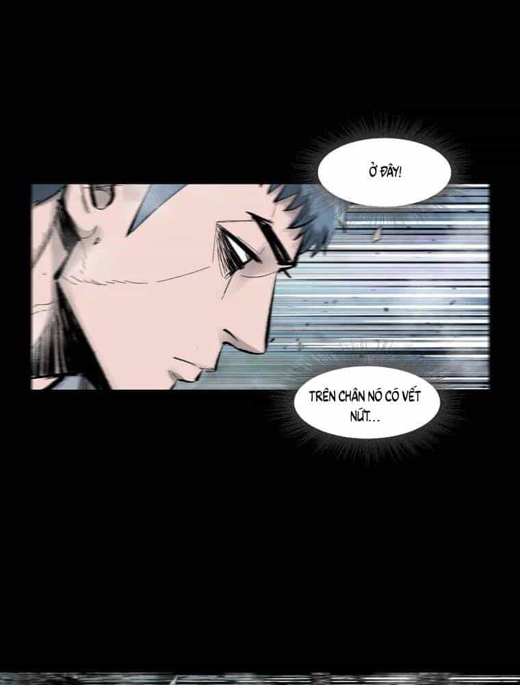 Mật Mã Mê Cung - Chương 4 - ảnh 12
