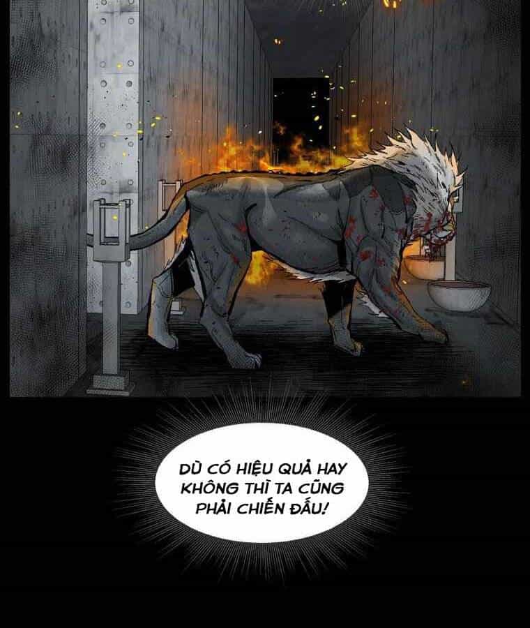 Mật Mã Mê Cung - Chương 9 - ảnh 27