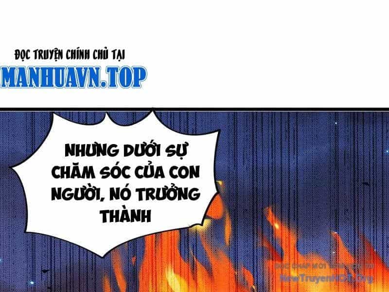Mạt Thế Cẩu Sinh: Gián Giúp Ta Chồng Buff - Chương 60 - ảnh 37
