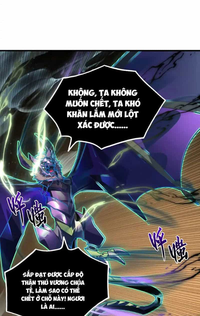 Mạt Thế Quật Khởi - Chương 254 - ảnh 4