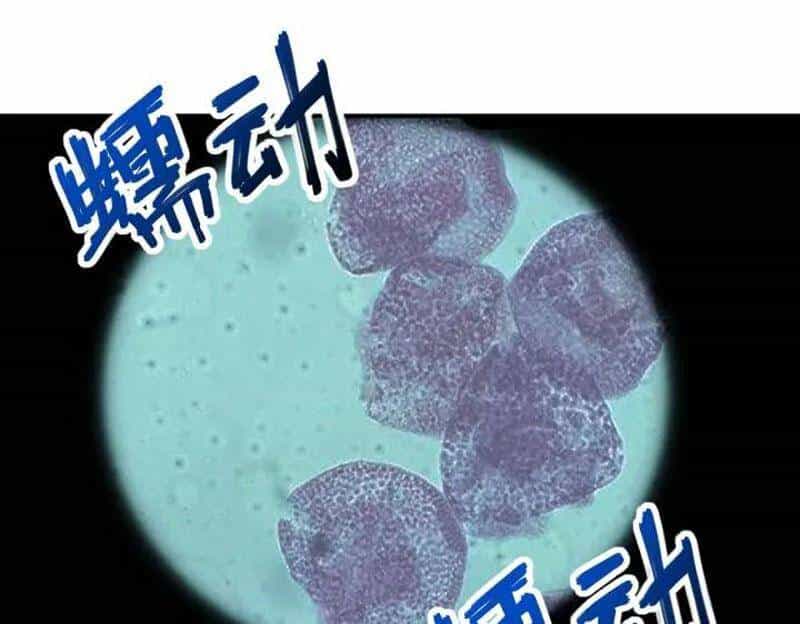 Mạt Thế Siêu Cấp Hệ Thống - Chương 248 - ảnh 21