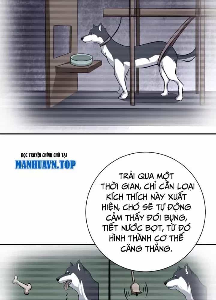 Mạt Thế Siêu Cấp Hệ Thống - Chương 462 - ảnh 10