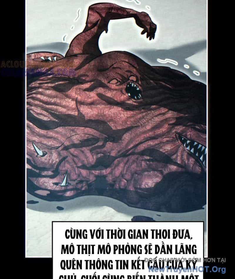 Mạt Thế Trọng Sinh: Ta Quay Gacha Làm Trùm! - Chương 61 - ảnh 22