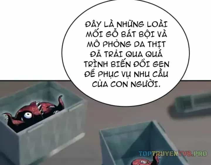 Mạt Thế Trọng Sinh: Ta Quay Gacha Làm Trùm! - Chương 97 - ảnh 6