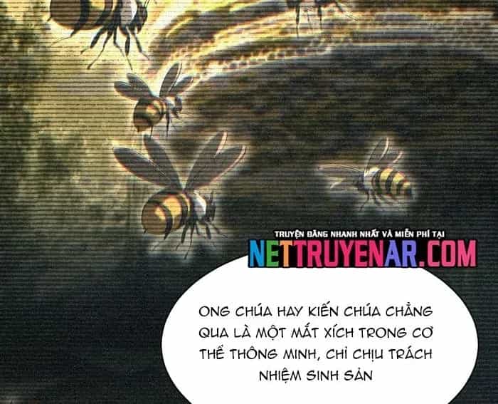 Mạt Thế Trùng Sinh: Ta Dựa Vào Mở Rương Vấn Dỉnh Đỉnh Phong - Chương 71 - ảnh 89