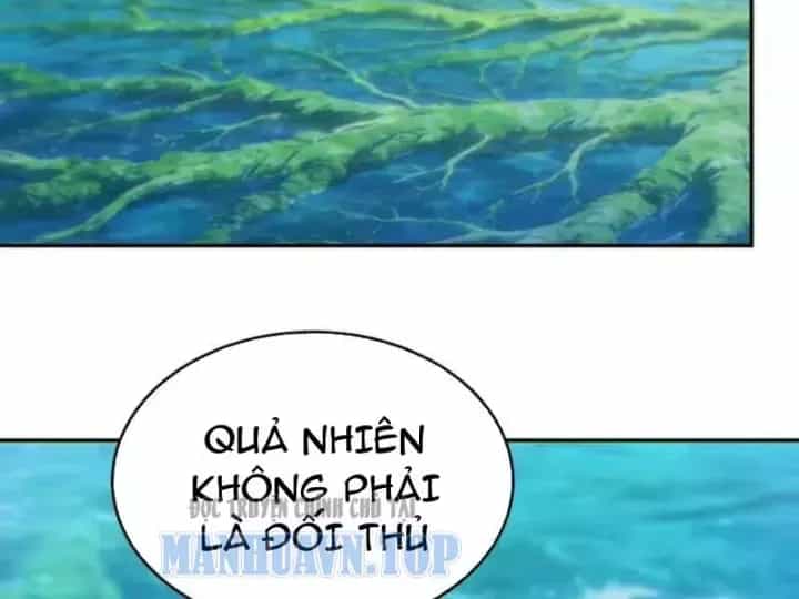 Mạt Thế Trùng Sinh: Ta Dựa Vào Mở Rương Vấn Dỉnh Đỉnh Phong - Chương 90 - ảnh 11