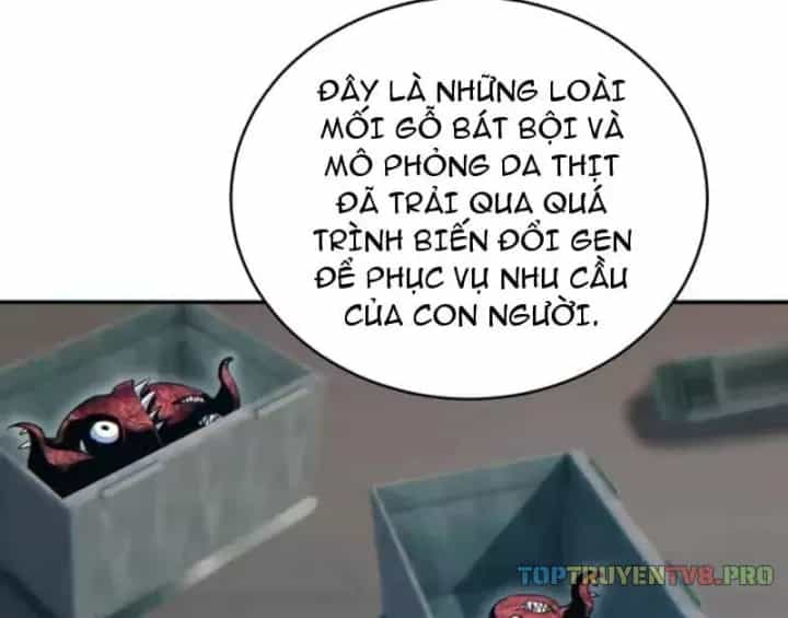 Mạt Thế Trùng Sinh: Ta Dựa Vào Mở Rương Vấn Dỉnh Đỉnh Phong - Chương 97 - ảnh 5