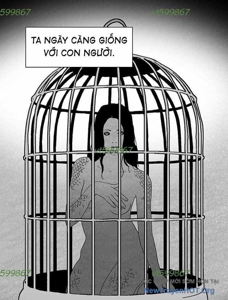 Máu Lạnh - Chương 51 - ảnh 43