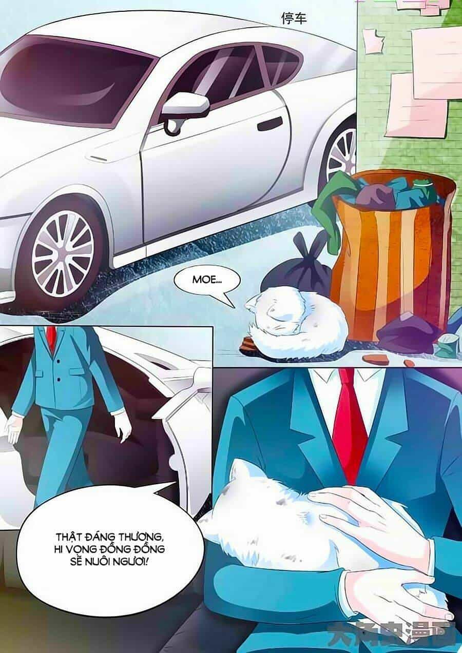 Mau Lấy Con Mèo Đó Ra - Chương 1 - ảnh 13